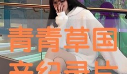 青青草国产在,探寻国产影视的青春魅力与时代印记